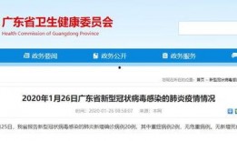 新型冠病毒最新爆料,病毒变异追踪与全球防控策略解析